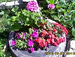     
: IMG00319.jpg
: 7
:	246.1 
ID:	6571416