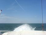     
: DSC04410.jpg
: 24
:	80.8 
ID:	6573359