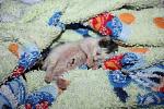     
: IMG_4622.jpg
: 17
:	152.9 
ID:	6576922