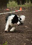     
: IMG_8905.jpg
: 2
:	124.0 
ID:	6577119