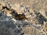     
: 2013-07-28 07.37.03.jpg
: 28
:	291.2 
ID:	6578665