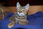     
: DSC_0199.jpg
: 10
:	31.7 
ID:	6580810
