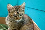     
: DSC_0223.jpg
: 3
:	30.1 
ID:	6580839