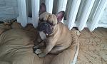     
: 2013-03-01 15.34.14.jpg
: 11
:	87.2 
ID:	6583822