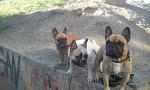     
: 2013-05-16 07.59.02.jpg
: 10
:	142.6 
ID:	6583823