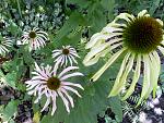     
: IMG00011.jpg
: 6
:	212.9 
ID:	6584500