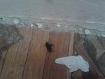     
: 2013-07-26 11.41.16.jpg
: 90
:	91.7 
ID:	6586018
