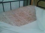     
: 2013-07-26 11.40.15.jpg
: 62
:	85.6 
ID:	6586063