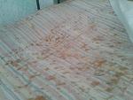     
: 2013-07-26 11.40.21.jpg
: 57
:	91.0 
ID:	6586064