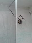     
: 2013-07-26 11.44.02.jpg
: 94
:	69.7 
ID:	6586110