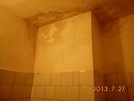    
: DSCI0587.jpg
: 9
:	60.9 
ID:	6587447