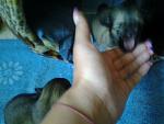     
: 20130730_142442.jpg
: 6
:	109.9 
ID:	6590067
