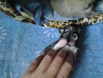     
: 20130730_142459.jpg
: 7
:	126.0 
ID:	6590074