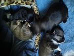     
: 20130730_142355.jpg
: 5
:	128.7 
ID:	6590080