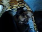     
: 20130730_142425.jpg
: 6
:	92.2 
ID:	6590083