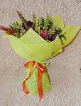     
: DSC_0005.jpg
: 4
:	120.0 
ID:	6590263