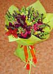     
: DSC_0012.jpg
: 4
:	115.2 
ID:	6590268