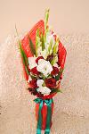     
: DSC_0085.jpg
: 7
:	97.0 
ID:	6590344