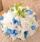     
: DSC_0109.jpg
: 8
:	115.7 
ID:	6590375