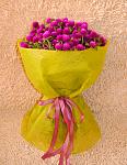     
: DSC_0121.jpg
: 27
:	110.3 
ID:	6590385