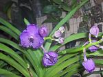     
: HPIM4065.jpg
: 6
:	113.4 
ID:	6592525