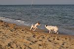     
: DSC_0240a.jpg
: 20
:	102.3 
ID:	6592889