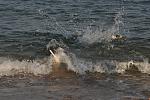     
: DSC_0287a.jpg
: 14
:	98.0 
ID:	6592890