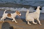     
: DSC_0216a.jpg
: 17
:	95.0 
ID:	6592891