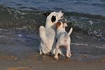     
: DSC_0259a.jpg
: 17
:	83.9 
ID:	6592892