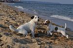     
: DSC_0616a.jpg
: 22
:	109.8 
ID:	6592893