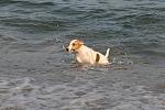     
: DSC_0294a.jpg
: 19
:	87.2 
ID:	6592897