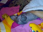     
: 06122009591.jpg
: 36
:	122.5 
ID:	659388
