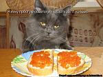     
: 653789252_huge.jpg
: 12
:	55.8 
ID:	6596251