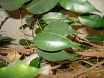     
: DSC00942.jpg
: 16
:	128.7 
ID:	6596617