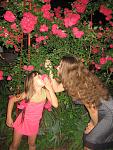    
: IMG_5878.jpg
: 15
:	154.4 
ID:	6597363