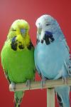     
: DSC03574.jpg
: 26
:	47.4 
ID:	6597737