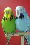     
: DSC03577.jpg
: 16
:	47.1 
ID:	6597738