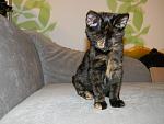     
: wEbRnchyY78.jpg
: 3
:	146.9 
ID:	6598971