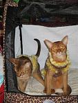     
: IMG_1033.jpg
: 43
:	128.0 
ID:	660051