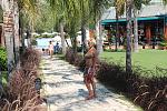     
: IMG_2214.JPG
: 6
:	209.3 
ID:	6600724