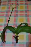     
: DSC_6.jpg
: 24
:	149.8 
ID:	6604032