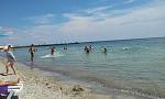     
: IMG-20130802-WA0000.jpg
: 20
:	65.6 
ID:	6605512