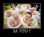     
: s3img_12398122_6971_2.jpg
: 70
:	40.7 
ID:	660627