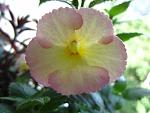    
: IMG_2127.jpg
: 15
:	76.1 
ID:	6606573