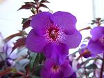     
: IMG_2125.jpg
: 9
:	92.0 
ID:	6606578
