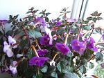     
: IMG_2126.jpg
: 8
:	187.1 
ID:	6606580