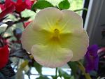     
: IMG_2121.jpg
: 13
:	77.2 
ID:	6606592