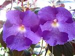     
: IMG_2123.jpg
: 7
:	115.1 
ID:	6606598