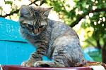     
: DSC_0249.jpg
: 3
:	44.1 
ID:	6608655
