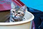     
: DSC_0255.jpg
: 3
:	29.4 
ID:	6608656